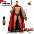 HT HotToys 1/6 MMS114 Spartan 300 Krieger Spartanerkönig 300 Wolfskrieger Actionfigur