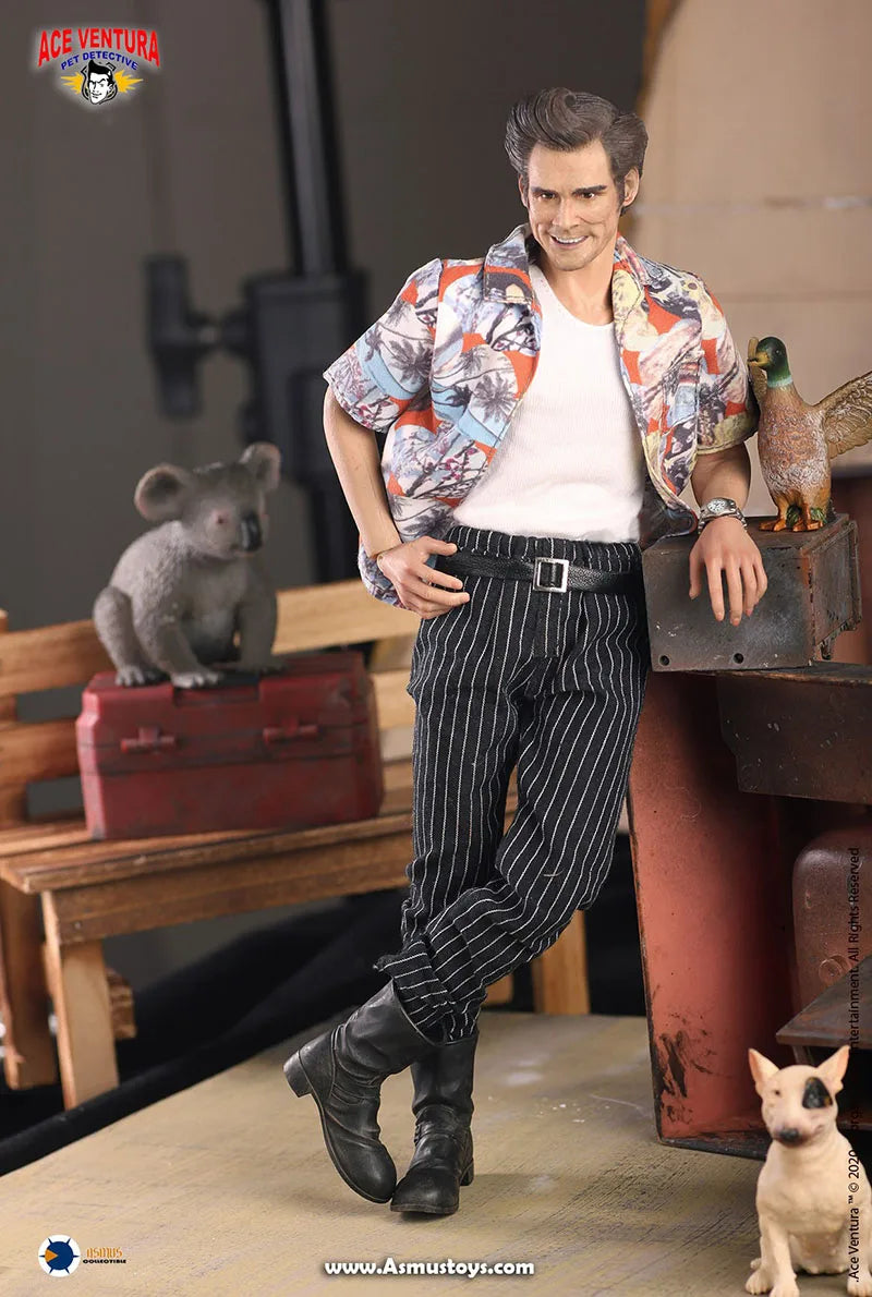 In Stock 1/6 Scale Asmus Toys ACE01 Pet Detective Jim Carrey Head Body Clothes 12 inches Action Figure Model for Fans Gifts