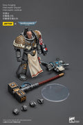 JOYTOY Warhammer 40K 1/18 Scale Grey Knights Interceptor Squad Interceptor Justicar Action Figure Model Toys For Collection