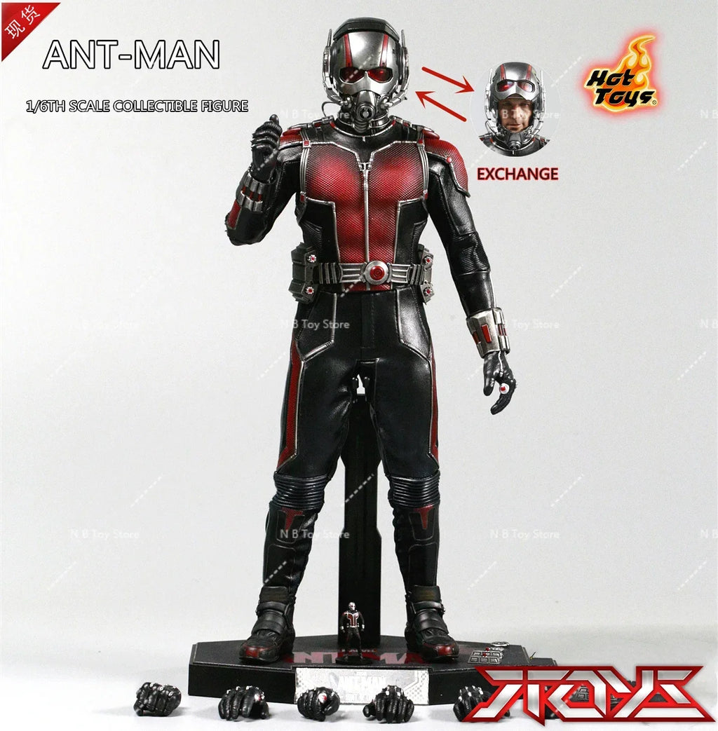 In Stock HT Hottoys MMS308 MMS497 MMS362 MMS690 Quantum Frenzy Ant Man 1.0 2.0 3.0 4.0 1/6 Action Figure Model Toys