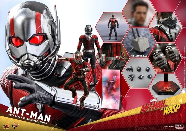In Stock HT Hottoys MMS308 MMS497 MMS362 MMS690 Quantum Frenzy Ant Man 1.0 2.0 3.0 4.0 1/6 Action Figure Model Toys