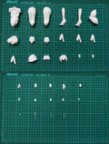 Resin Figure Kit Taimanin 1/7 Sakura Igawa Ver.2 Unpainted Garage Resin Kit Model GK