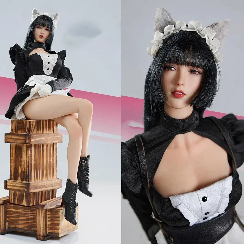 In Stock VERYCOOL VCF-2065 1/6 Cat Girl Role-playing Assassin Series Assassination Maid - Miqier Full Set 12in Action Figure