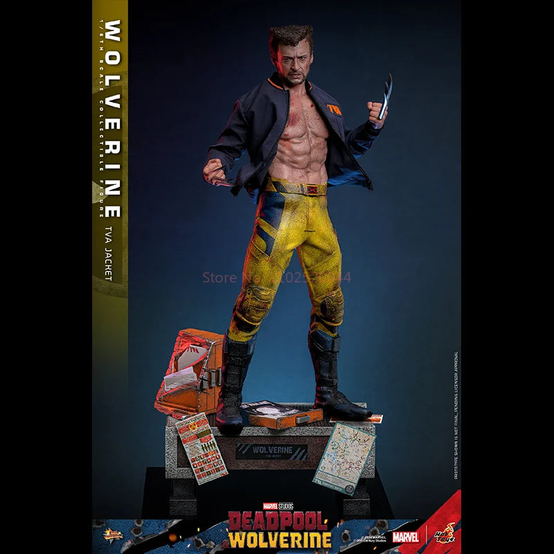 Hot Toys Tva Uniform Edition Wolverine Mms756 1/6th Scale Deadpool & Wolverine Wolverine Collectible Figure Toy Christmas Gifts