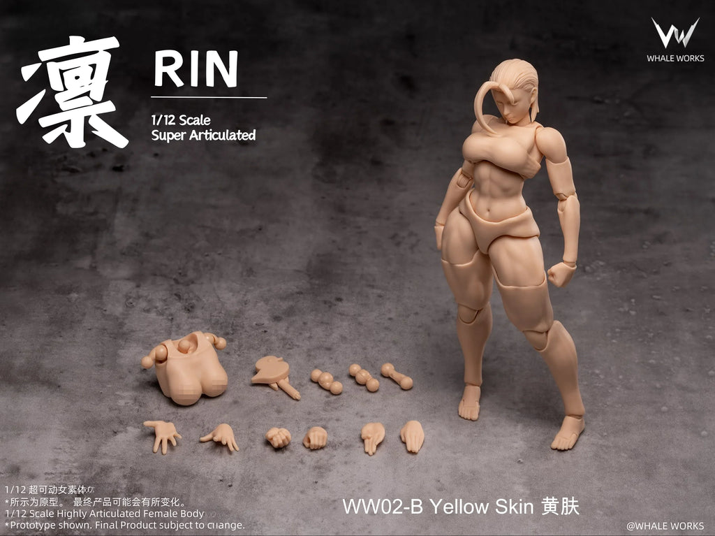 Auf Lager WHALE WORKS WW01/02 ARIA RIN WEIBLICHER KÖRPER Bewegliche Modell Spielzeug 1/12 Super beweglich Cammy White Chun Li