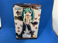 In Stock SEGA Hatsune Miku Project DIVA Arcade Future Tone SPM Hatsune Miku-Little Cat PVC 23CM Anime Action Figures Model Toy
