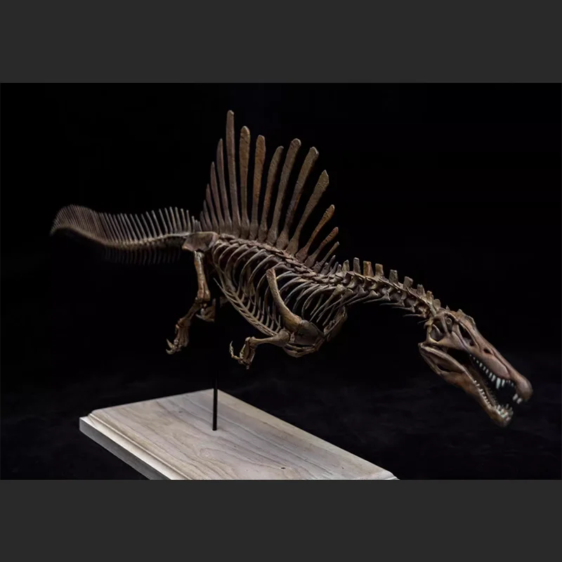 Original 1/20 Spinosaurus Skeleton Action Figure Model Toys Collection Scene Decoration Gift