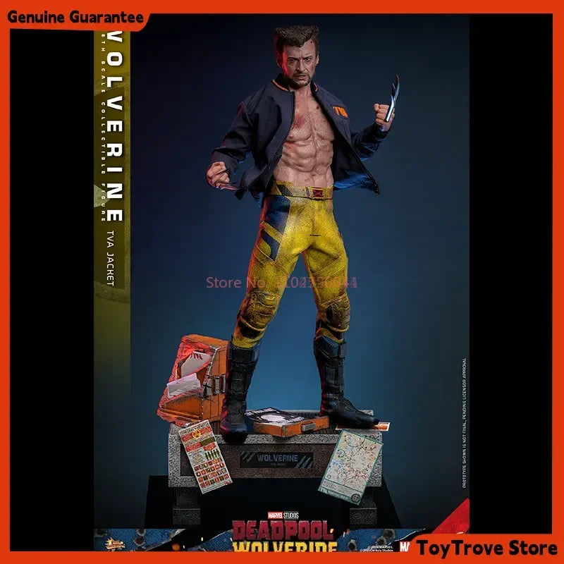 Original Hot Toys Tva Uniform Edition Wolverine Mms756 Deadpool & Wolverine Wolverine  1/6th Scale Collectible Figure Toy Gifts