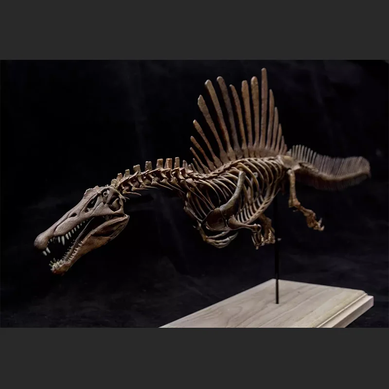 Original 1/20 Spinosaurus Skeleton Action Figure Model Toys Collection Scene Decoration Gift