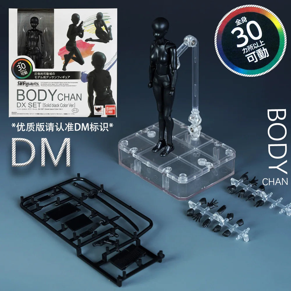 Sketch Draw Male Female Movable Body Kun Body Chan Joint Pain Anime Figure Shf Action Figure Toy Model Draw Mannequin