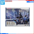 Genuine Original HEMOXIAN Figure Model Kits Anime Figures STARFLOWER LILY RS-03 Action Model Toy Gift for Kids Christmas present