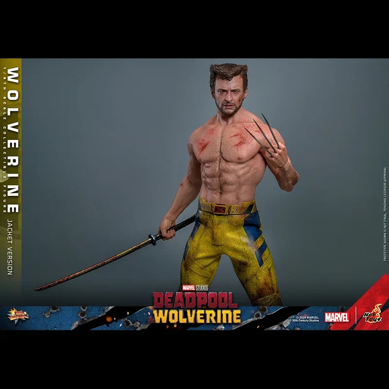 Hot Toys TVA Uniform Edition Wolverine MMS756 Collectible Figure 1/6th Scale Deadpool & Wolverine Action Figures Toy Gifts