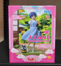 Genuine Sega Ranma 1/2 Luminasta PM Figure Shampoo Saotome Ranma Tendou Akane Original Anime Figure Model Collector Figurine Toy