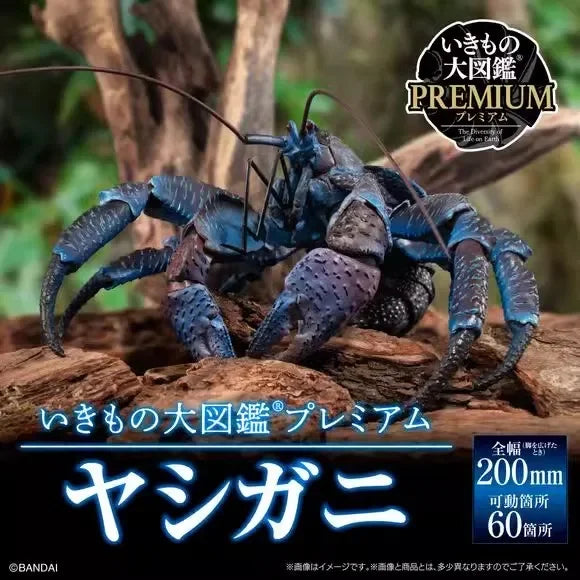 Original Bandai Coconut Crab Figure Biographical Encyclopedia Gashapon Pvc Action Figurine Collection Model Doll Toy Xmas Gifts
