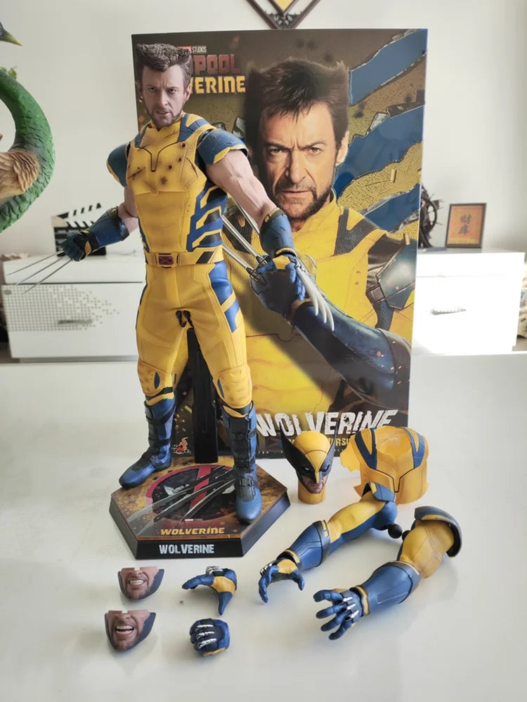 Hot Toys Mms754 Mms753 Wolverine 1/6 Scale Sci Fi Film Sammlerstück Gelenk-Actionfigur 30cm Desktop-Ornament Auf Lager