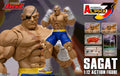 ã€In Stockã€‘Original Storm Collectibles STORM ARENA Street Fighter Alpha 3 Sagat 1/12 Ornament Model Toy