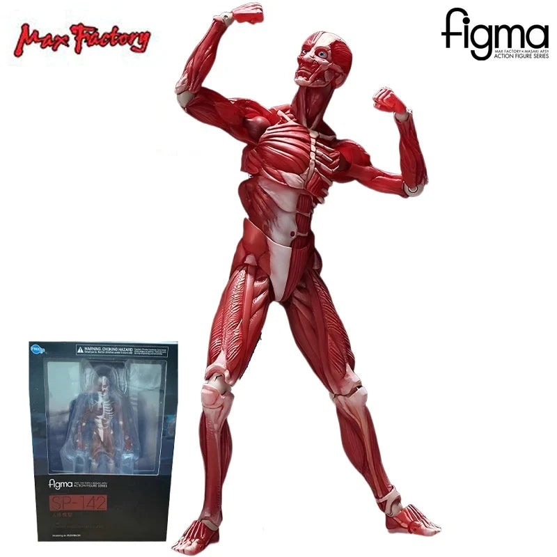 Max Factory Genuine Figma Movable Doll Series Figma SP Version Sp-142 Manikin Movable Model Collection Boy's Gift Ornaments