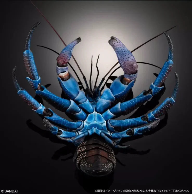 Original Bandai Coconut Crab Figure Biographical Encyclopedia Gashapon Pvc Action Figurine Collection Model Doll Toy Xmas Gifts