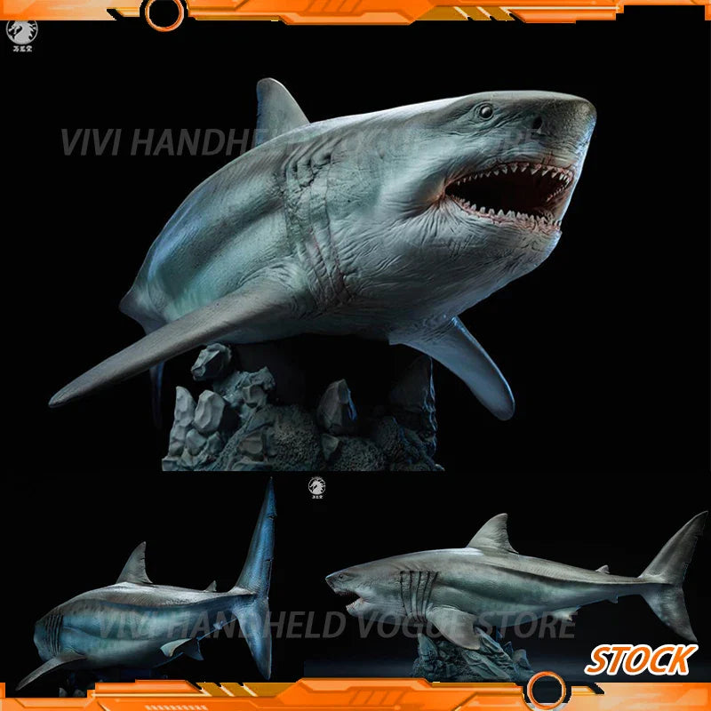 Auf Lager W-DRAGON Megalodon Modell 1/35 45cm Statische Statue Carcharocles Megalodon Paläontologie Unterseeischer Gigant