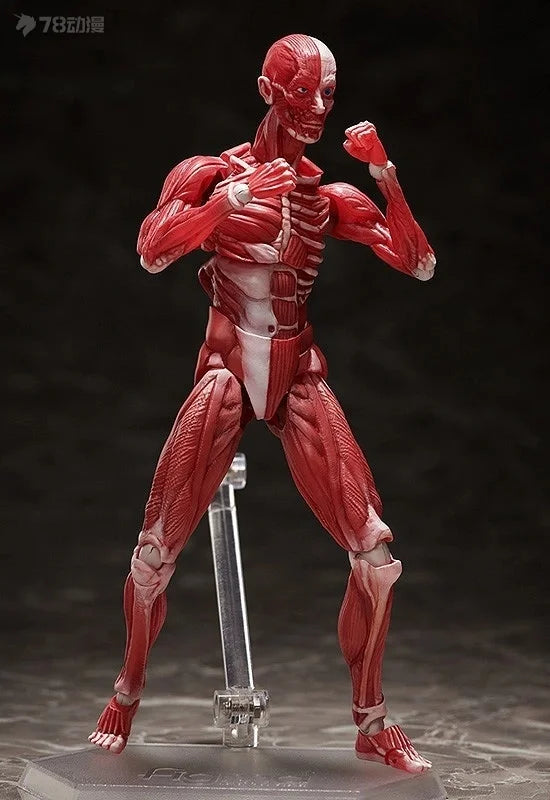Max Factory Genuine Figma Movable Doll Series Figma SP Version Sp-142 Manikin Movable Model Collection Boy's Gift Ornaments