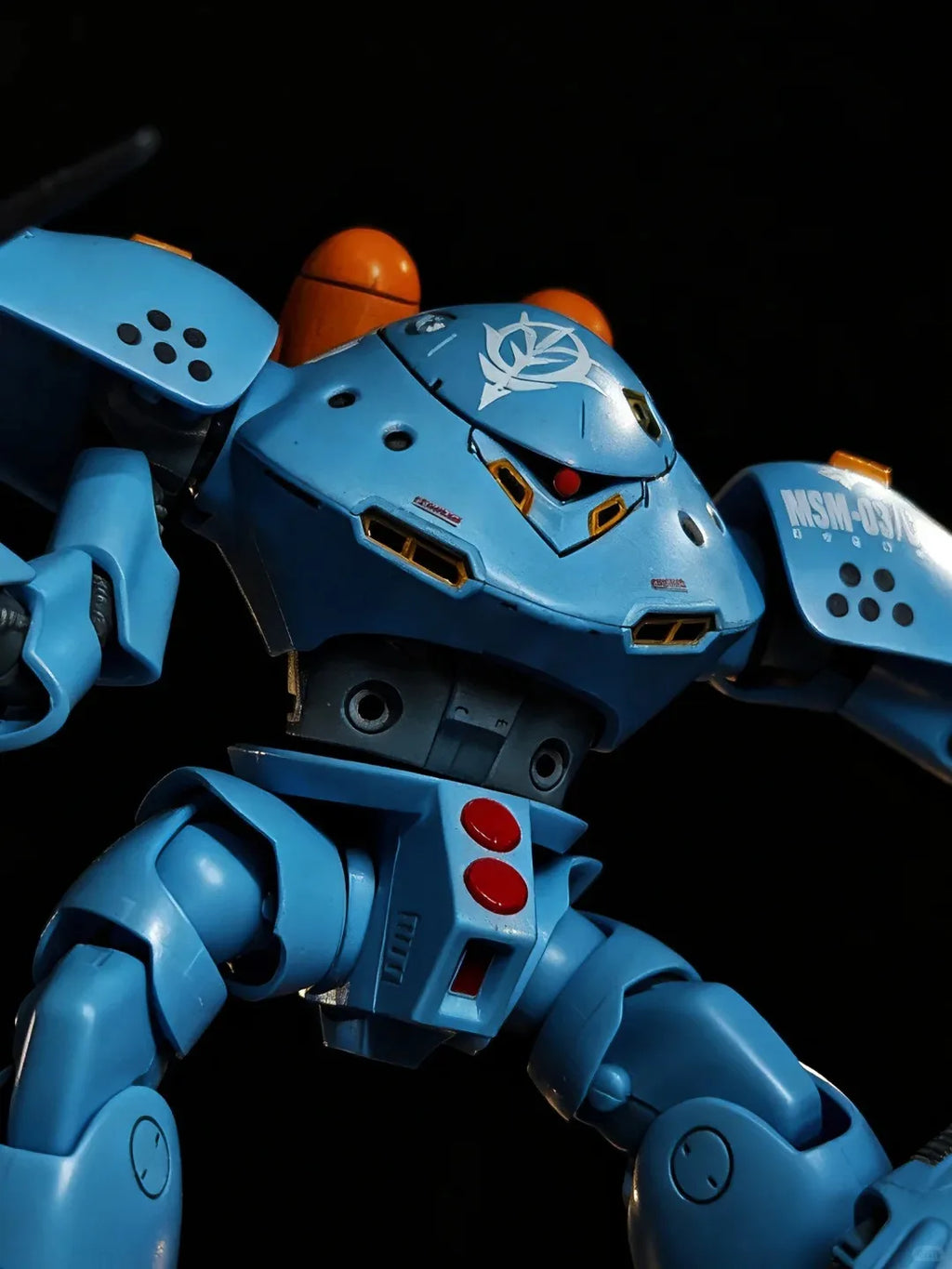 Hg 1/144 Z'Gok With Water Decals Assembly Model Kit Action Figures Assembly Toys Collect Desktop Decor Doll Mecha Figurine Gifts