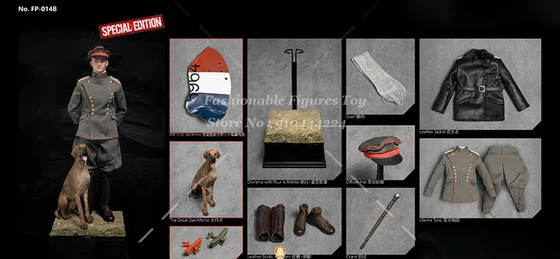 Facepoolfigure FP0014 1/6 Men Soldier Ace Military War Pilot Full Set 12Inch Action Figure Model Toys Military War Collection