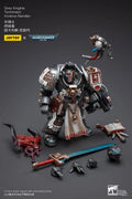 【UA】JOYTOY  Warhammer 40K  Scale 1/18  Action Figures Grey Knights Terminator Incanus Neodan  Models Toys Gifts