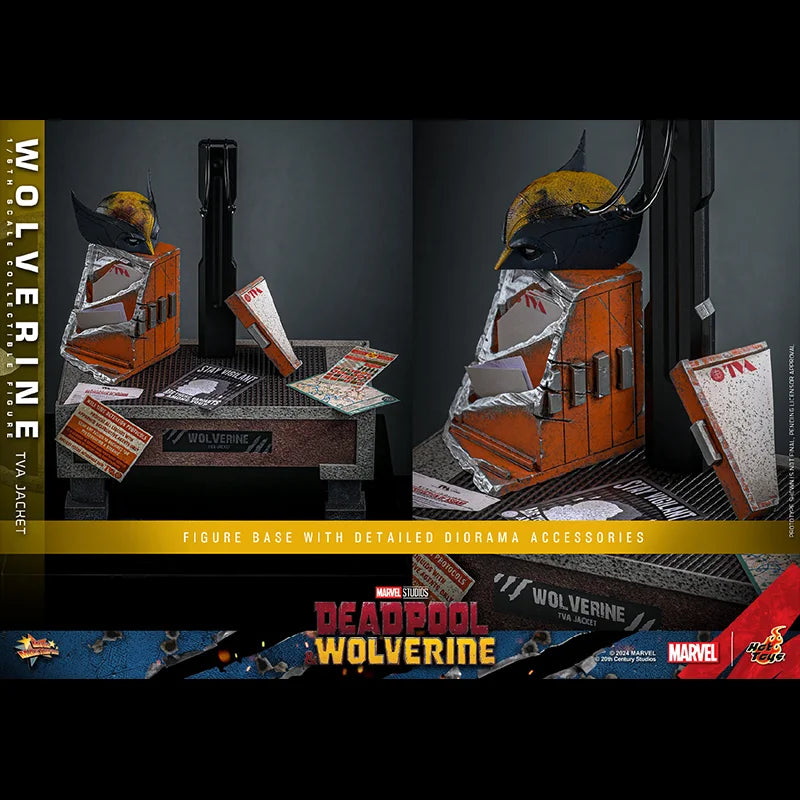 Hot Toys TVA Uniform Edition Wolverine MMS756 Collectible Figure 1/6th Scale Deadpool & Wolverine Action Figures Toy Gifts