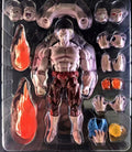 【Ship Within 24 Hours】BLACKHOLE TOYS Dragon Ball Series SHF [Son of God and Demon] Jiren 1/12 Action Figure Anime Character