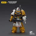Spot Goods  JOYTOY Dark Source Warhammer Horus Heresy Imperial Fists Legion Apothecary 1:18 Movable Soldier Mannequin To Play