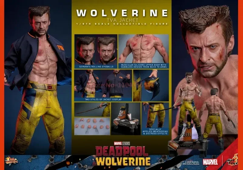 Original Hot Toys Tva Uniform Edition Wolverine Mms756 Deadpool & Wolverine Wolverine  1/6th Scale Collectible Figure Toy Gifts