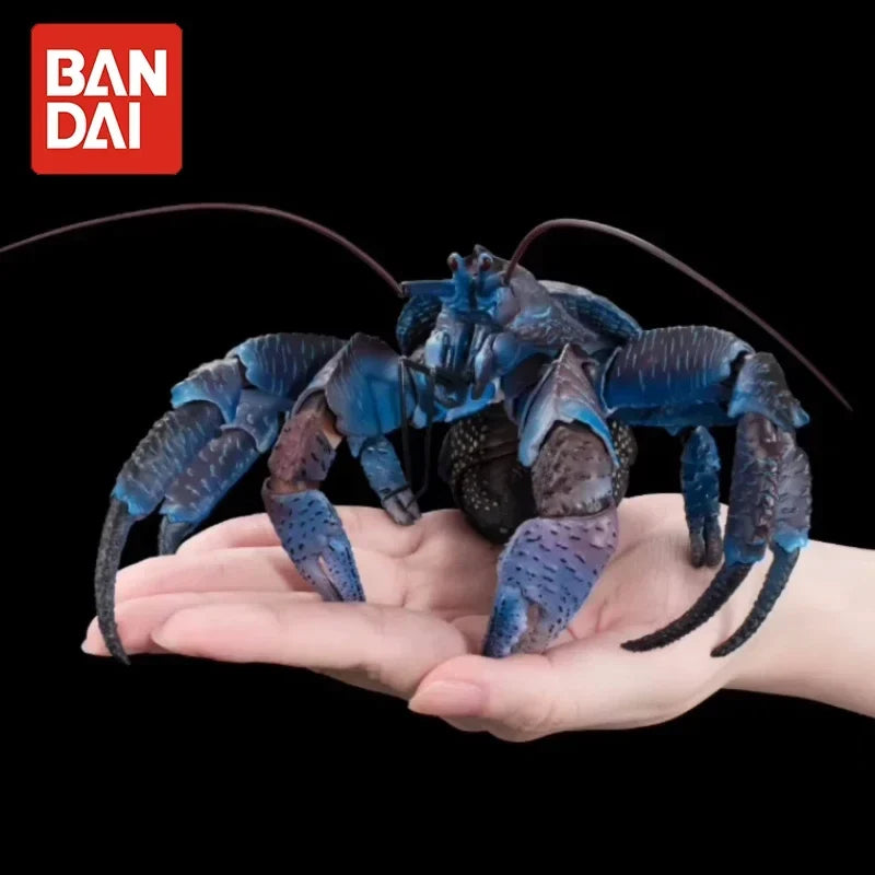 Original Bandai Coconut Crab Figure Biographical Encyclopedia Gashapon Pvc Action Figurine Collection Model Doll Toy Xmas Gifts