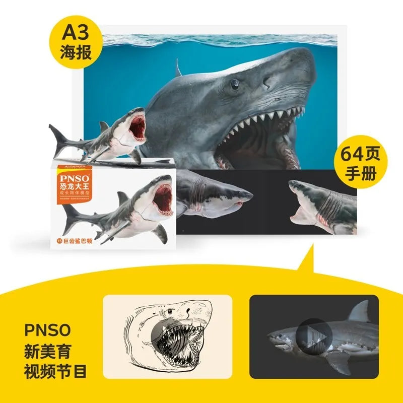 PNSO Great White Shark Model Companion For Growth Barton Dinosaur King Figure Collectible Toys And Hobbies Action Figures