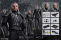 BUZZTOYS BUZ001 1/6 Scale Brave Hunter Wizard Male Action Figure Gray Hair Witcher Simulation Delicate 12" Full Set Soldier