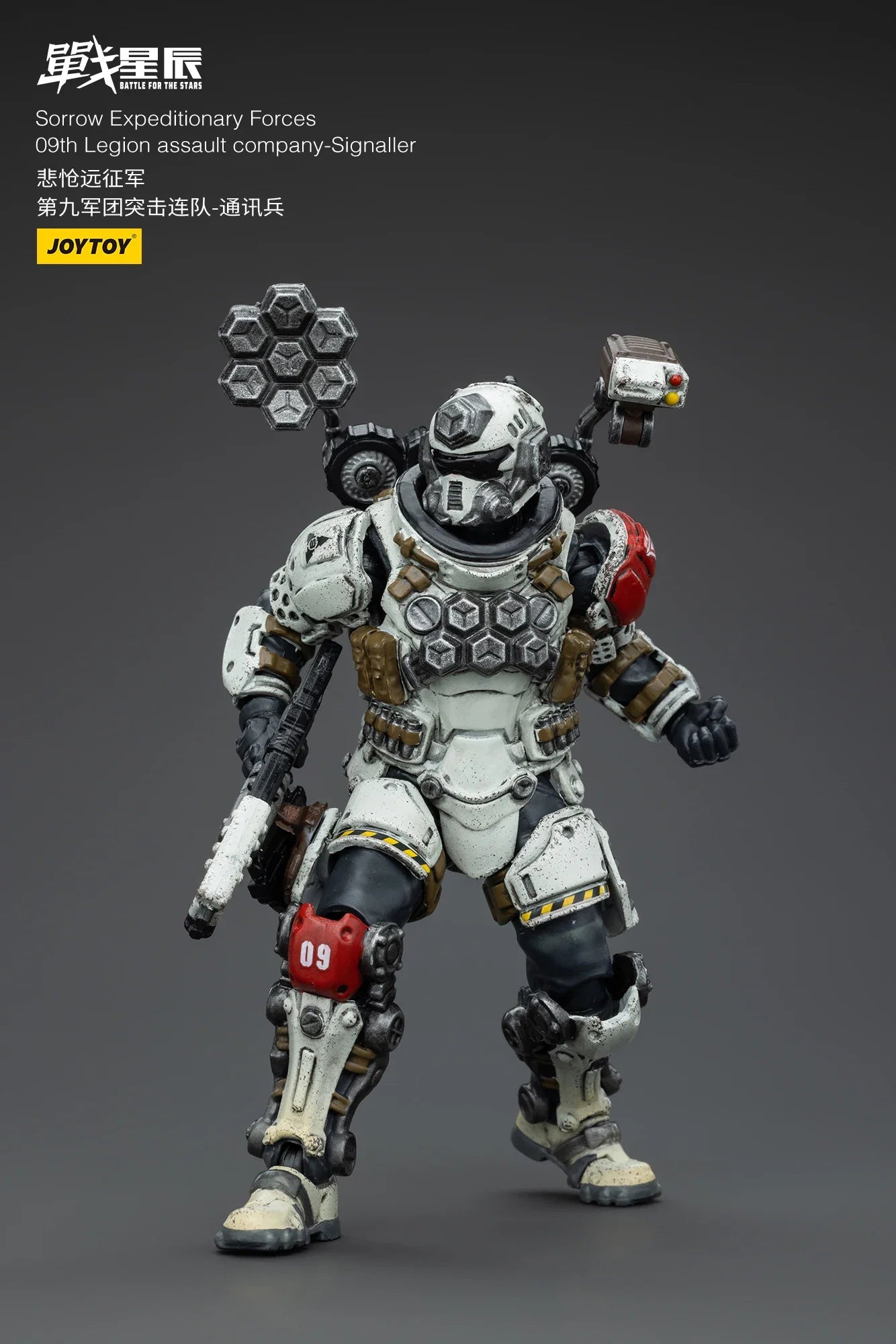 JOYTOY Battle For the Stars 1/18 Sorrow Expeditionary Forces 09th Legion Assault Company Action Figure Model Toys For Collection