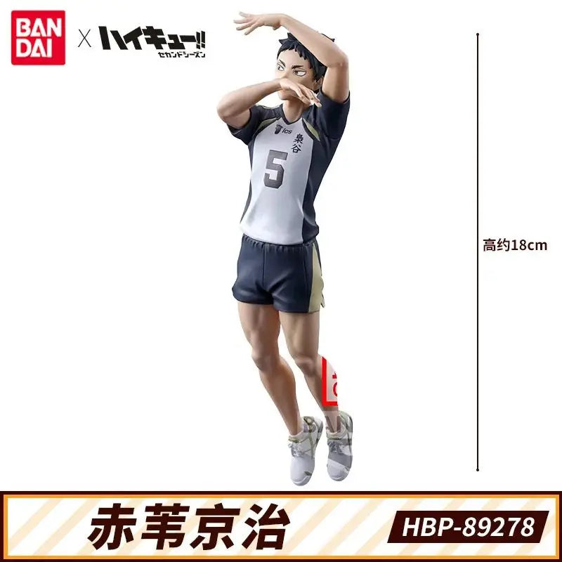 Original Bandai Posing Figure Haikyuu!! Kotaro Bokuto Akaashi Keiji Collection Ornaments Figure Toys Birthday Gift