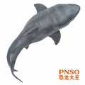 PNSO Great White Shark Model Companion For Growth Barton Dinosaur King Figure Collectible Toys And Hobbies Action Figures