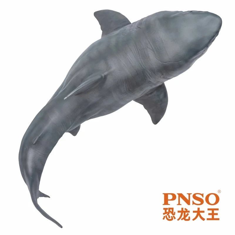 PNSO Great White Shark Model Companion For Growth Barton Dinosaur King Figure Collectible Toys And Hobbies Action Figures