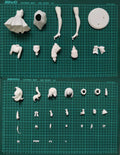 Resin Figure Kit Mash Kyrielight Fate 1/7 Unpainted Garage Resin Kit Model G