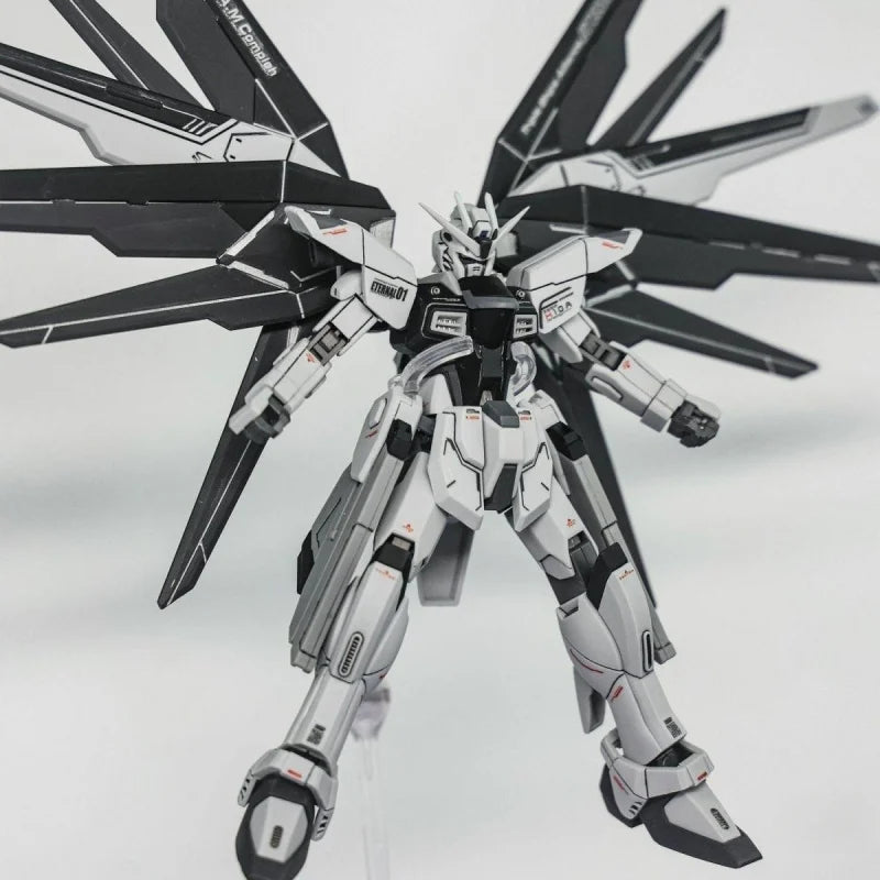 HG Strike Freedom Not Activated Color Scheme Black and White Color Matching 1/144 Assembled Mecha Model
