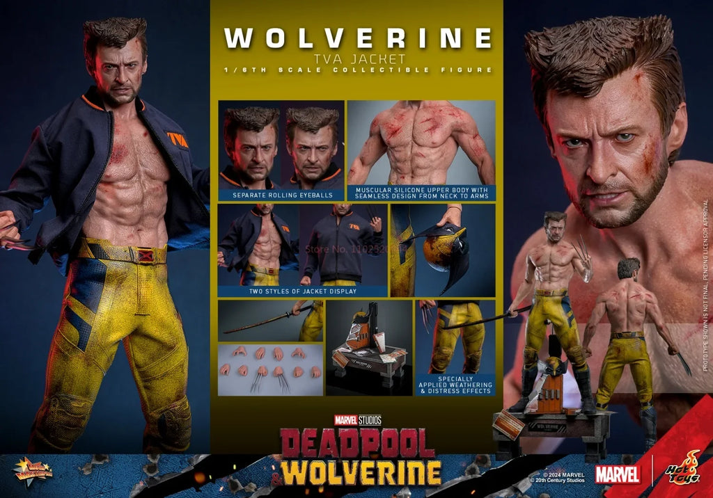Hot Toys Tva Uniform Edition Wolverine Mms756 1/6th Scale Deadpool & Wolverine Wolverine Collectible Figure Toy Christmas Gifts