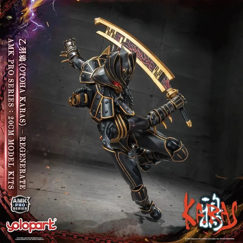 YOLOPARK AMK PRO Karas Tsubuya Crow New Edition Action Figure Pre-order