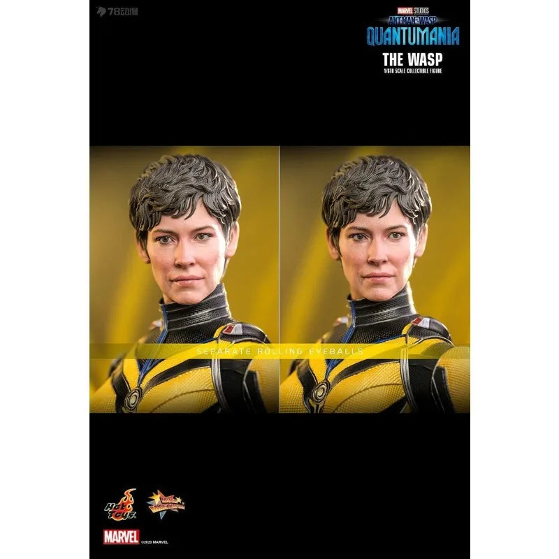 HOTTOYS HT MMS691 1/6 Collectible The Wasp Action Figure Ant-Man and the Wasp: Quantumania Movie 12" Full Set Soldier Model