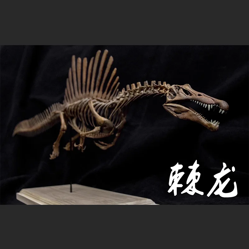 Original 1/20 Spinosaurus Skeleton Action Figure Model Toys Collection Scene Decoration Gift