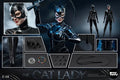 IN STOCK ETERNAL  ET-X10 Normal Version 1/6 Catwoman Anti-hero Action Penguin Soldier Scene Ornament 12" Cat Lady Model Toy