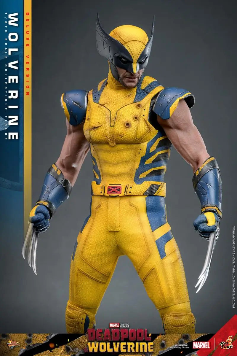 In Stock HOT TOYS HT 1/6 MMS753/754 Deadpool and Wolverine Standard/Deluxe Edition Full Set 12in Collectible Action Figure Model