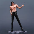 25cm/9.84in Anime ONE PIECE Figure Rob Lucci Action Figures Pvc Statue Desktop Ornamen Collection Model Toys Gifts