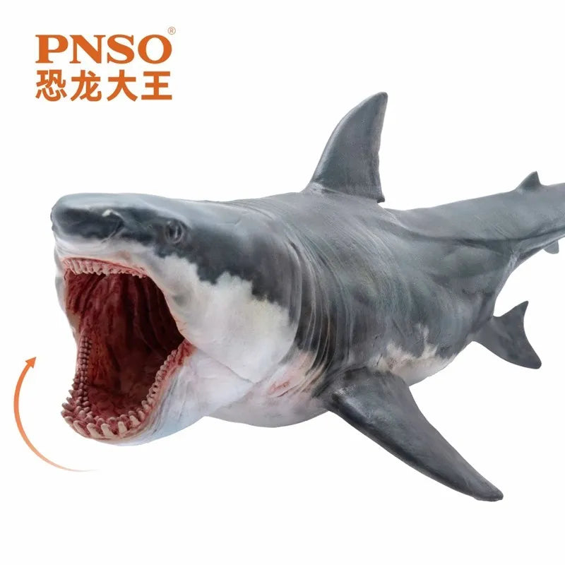 PNSO Great White Shark Model Companion For Growth Barton Dinosaur King Figure Collectible Toys And Hobbies Action Figures