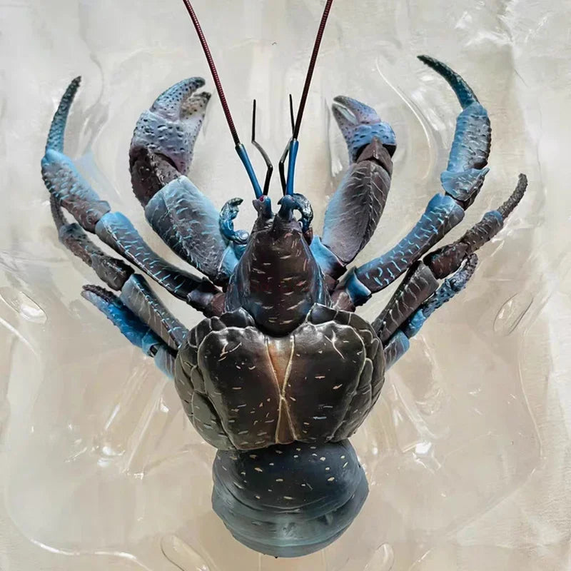 Original Bandai Coconut Crab Figure Biographical Encyclopedia Gashapon Pvc Action Figurine Collection Model Doll Toy Xmas Gifts