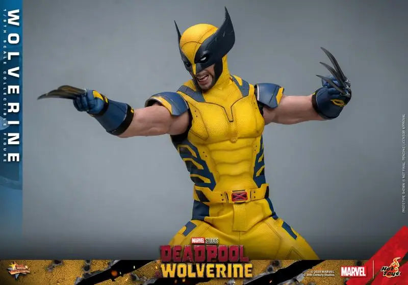 In Stock HOT TOYS HT 1/6 MMS753/754 Deadpool and Wolverine Standard/Deluxe Edition Full Set 12in Collectible Action Figure Model